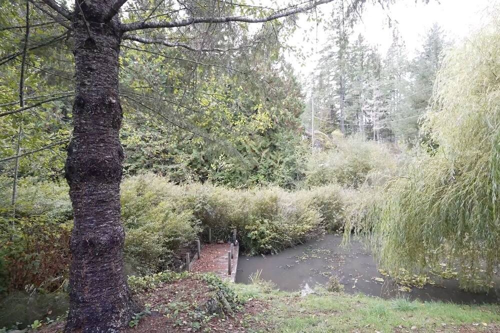 Photo of Outdoor in Sooke