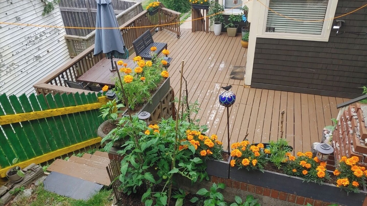 Photo of Outdoor in Saint John
