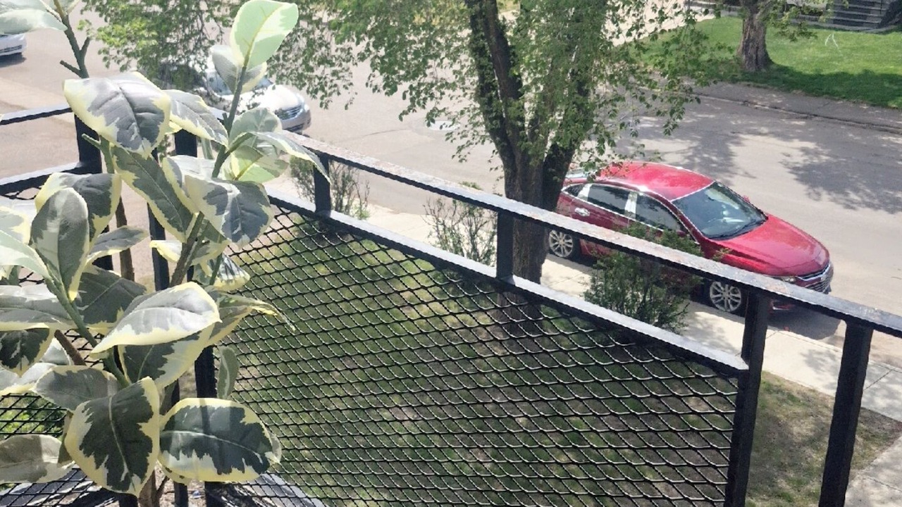 Photo of Outdoor in Regina