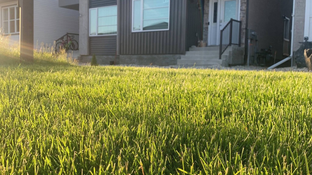 Photo of Outdoor in Fort Gary