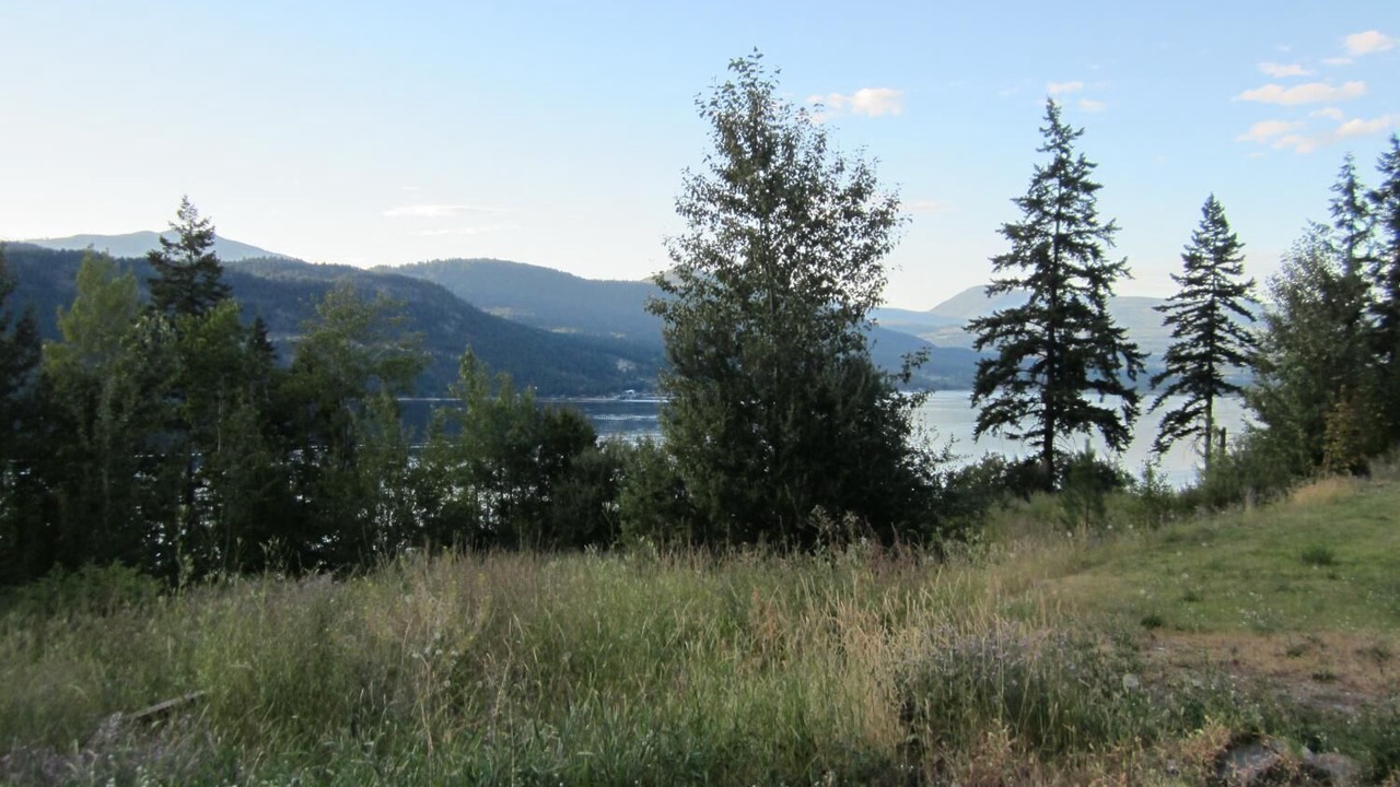 Photo of Outdoor in Chase