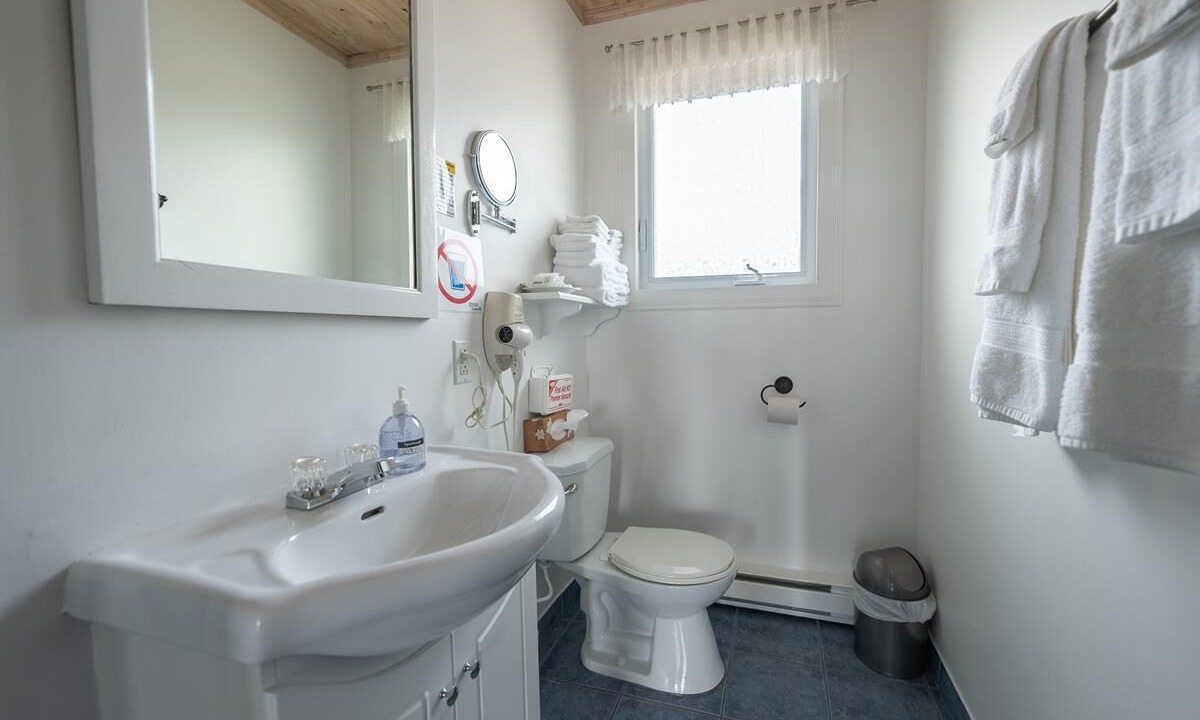 Photo of Bathroom in Larouche
