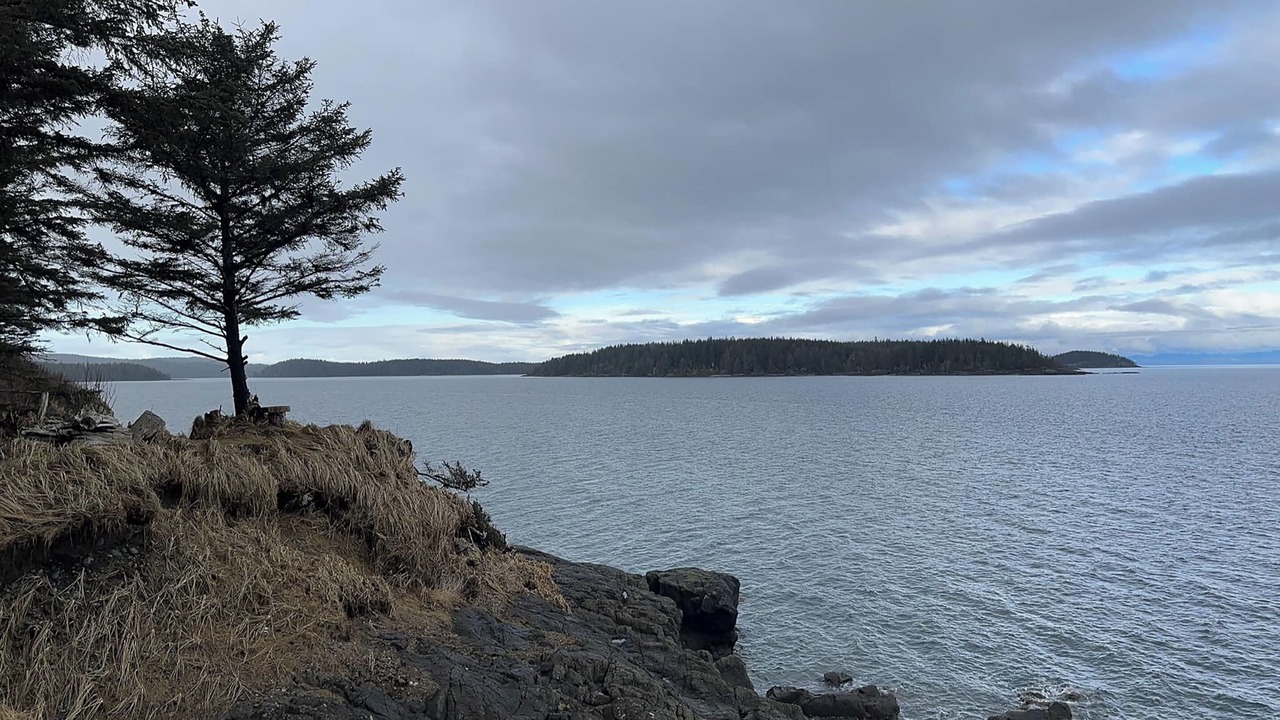 Photo of Outdoor in Port Hardy