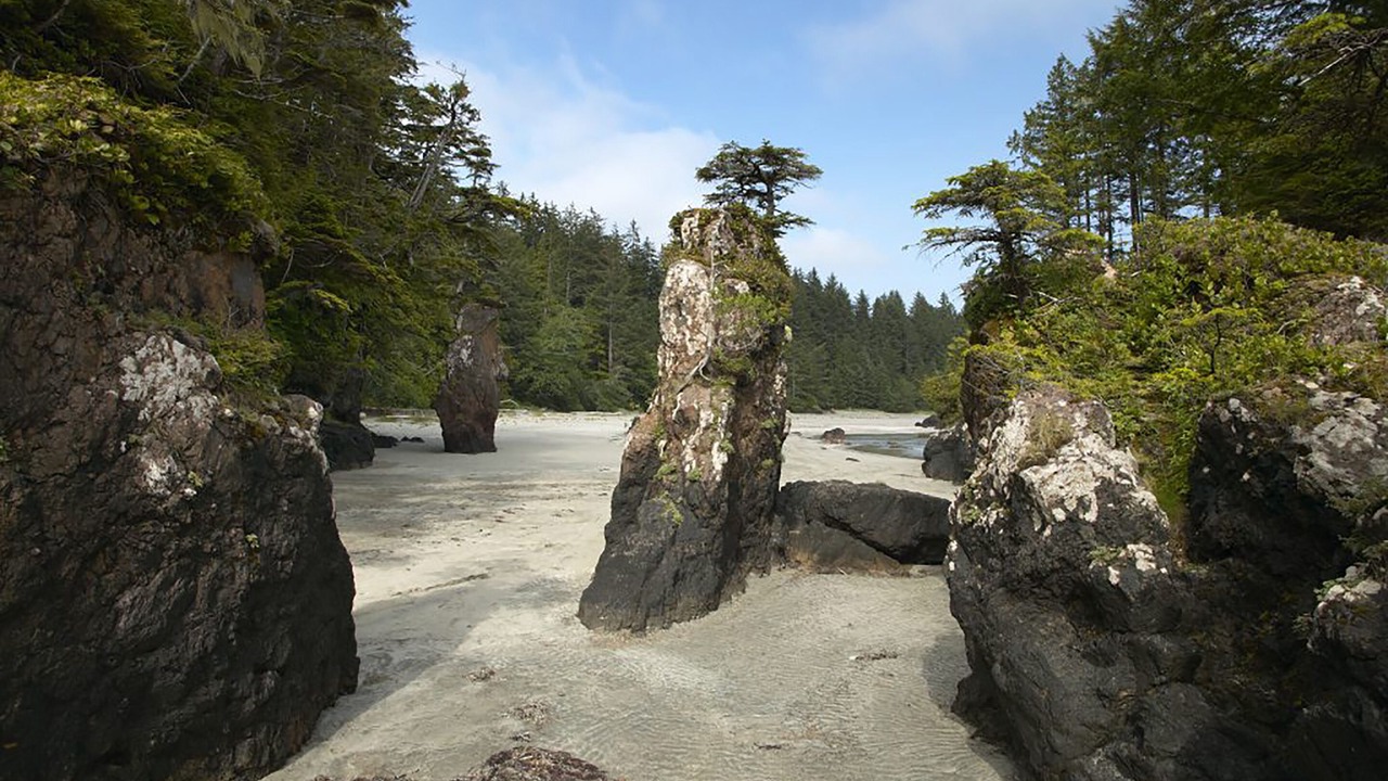 Photo of Others in Port Hardy