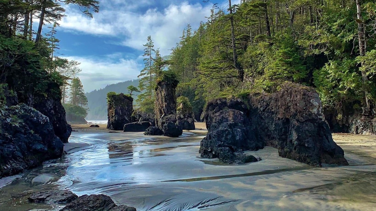 Photo of Others in Port Hardy