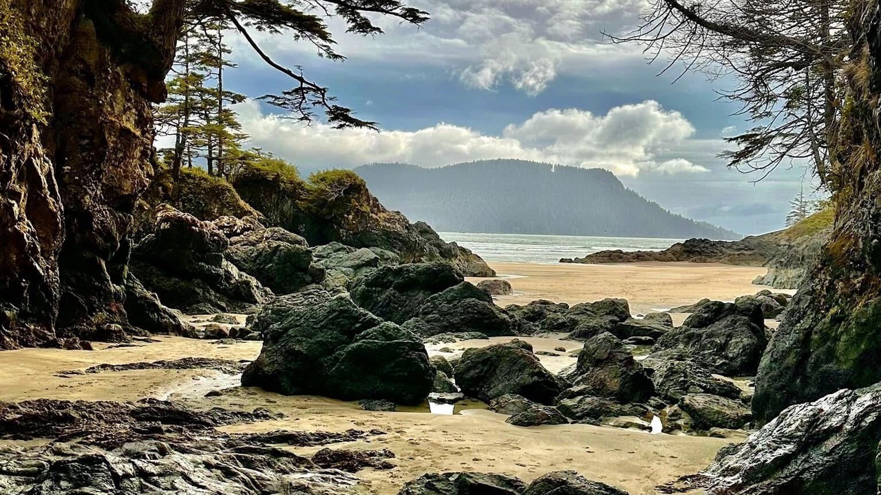 Photo of Others in Port Hardy
