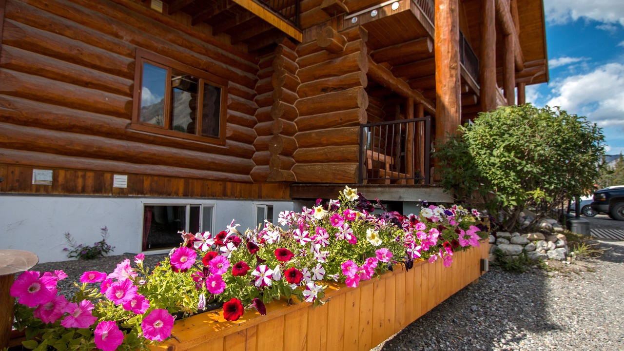 Photo of Outdoor in Muncho Lake