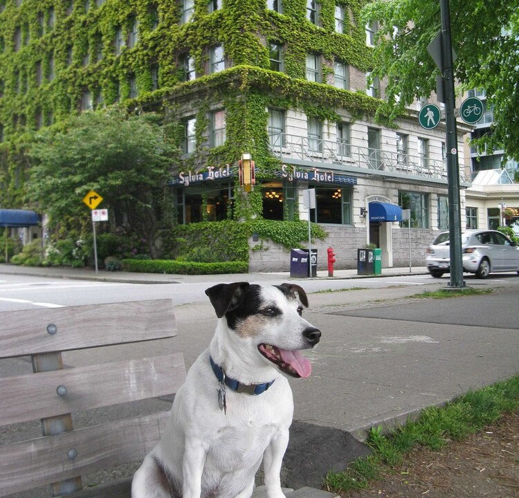Photo of Outdoor in West End