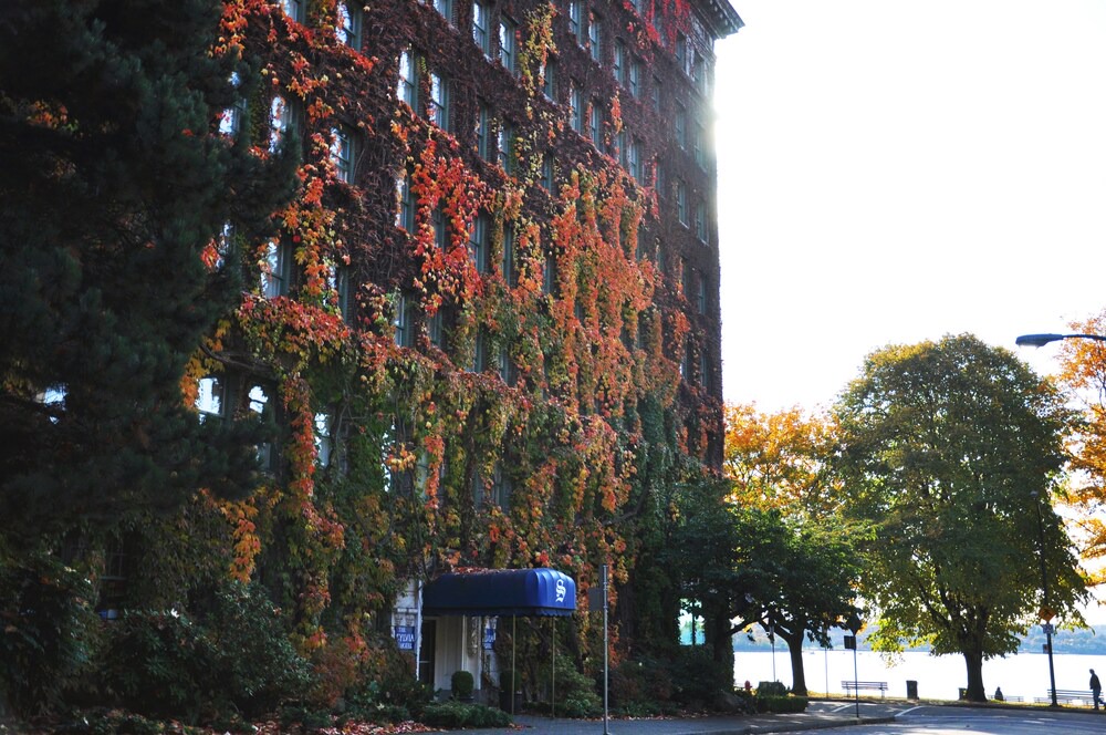 Photo of Outdoor in West End