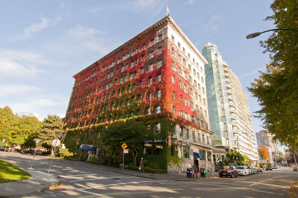 Photo of Outdoor in West End