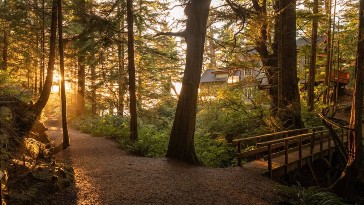 Photo of Others in Ucluelet