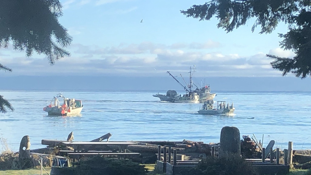 Photo of Others in Regional District of Nanaimo