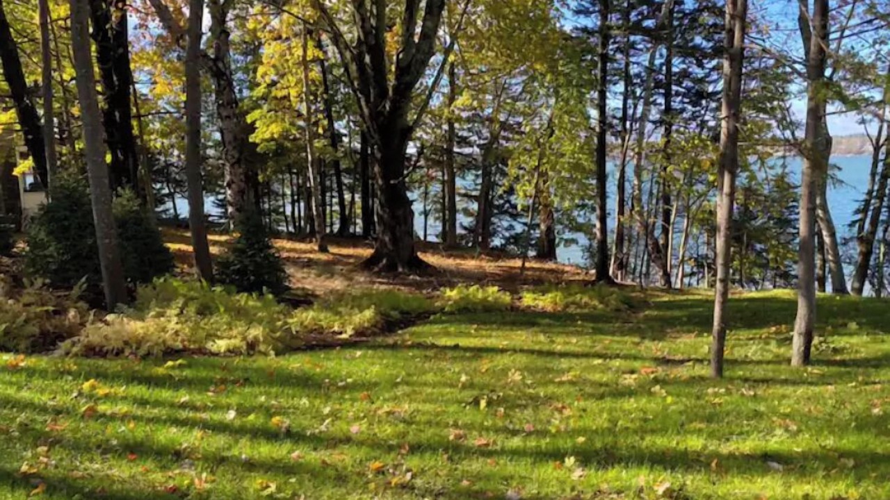 Photo of Outdoor in Orrs Island