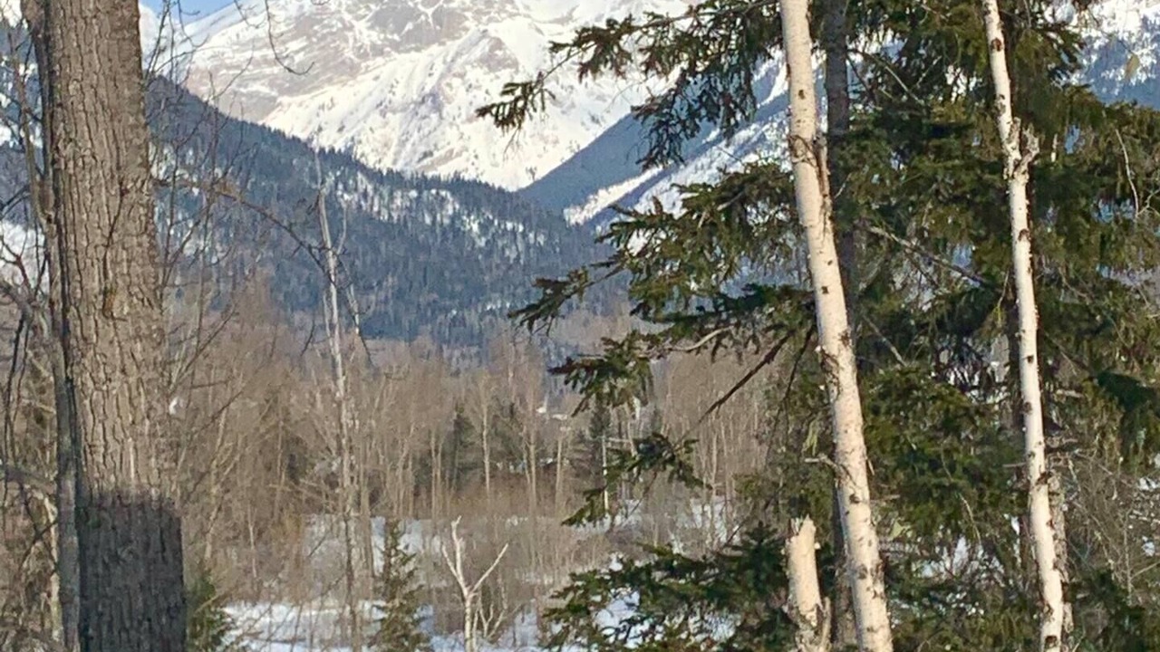 Photo of Outdoor in Fernie