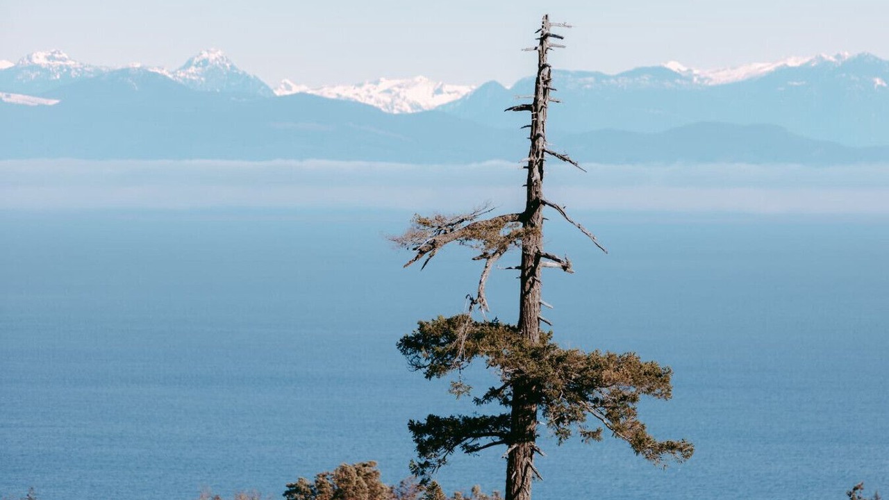 Photo of Others in Regional District of Nanaimo
