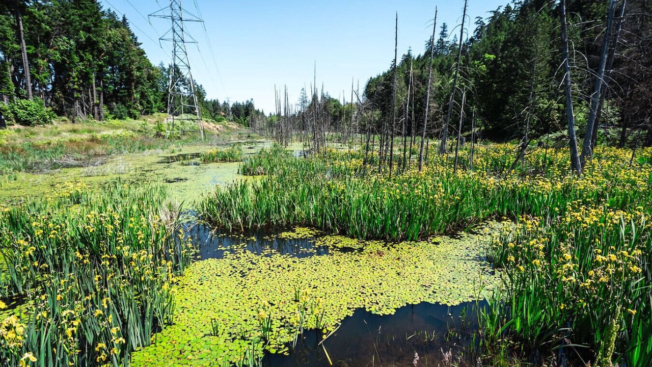Photo of Others in Regional District of Nanaimo