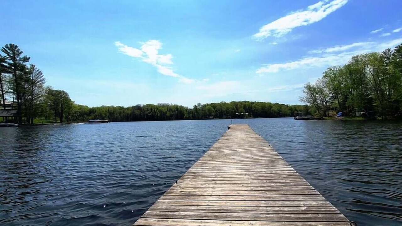 Photo of Outdoor in Selwyn