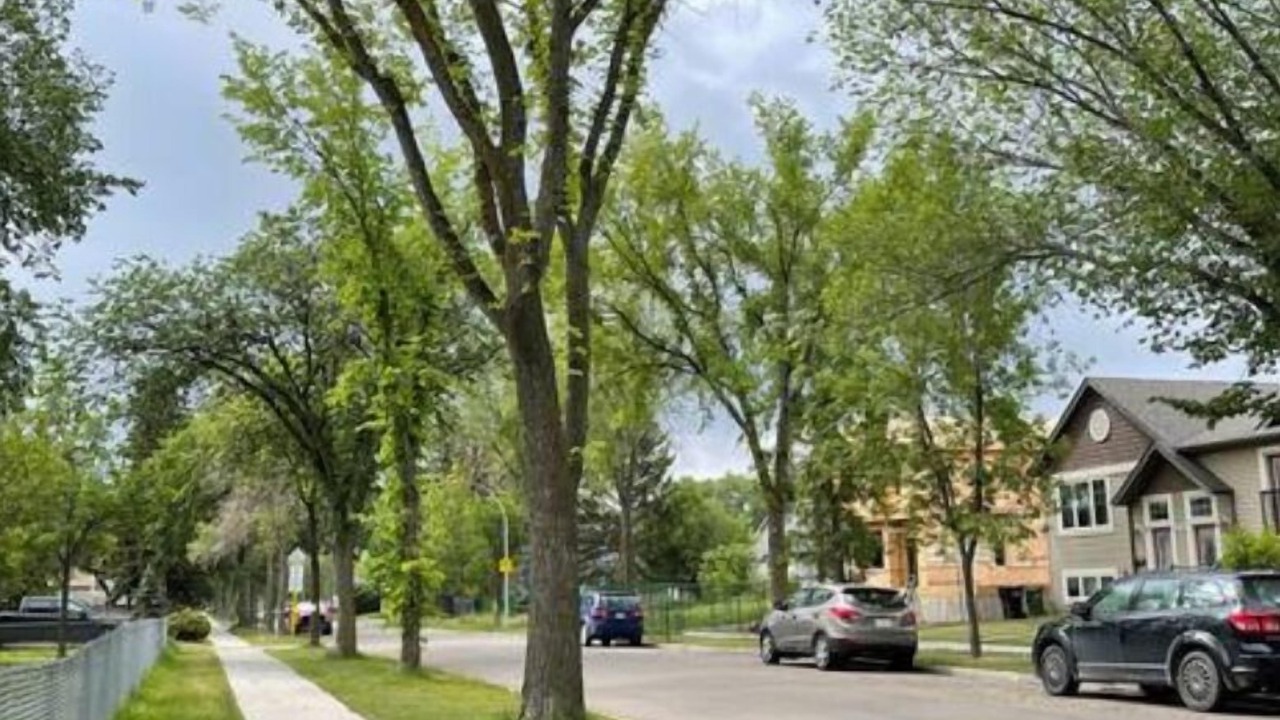 Photo of Outdoor in Northwest Edmonton