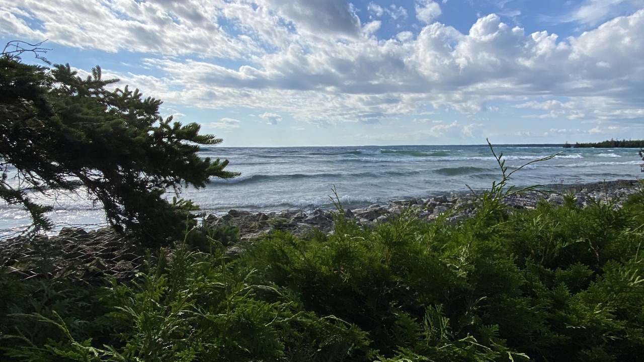 Photo of Others in Northern Bruce Peninsula