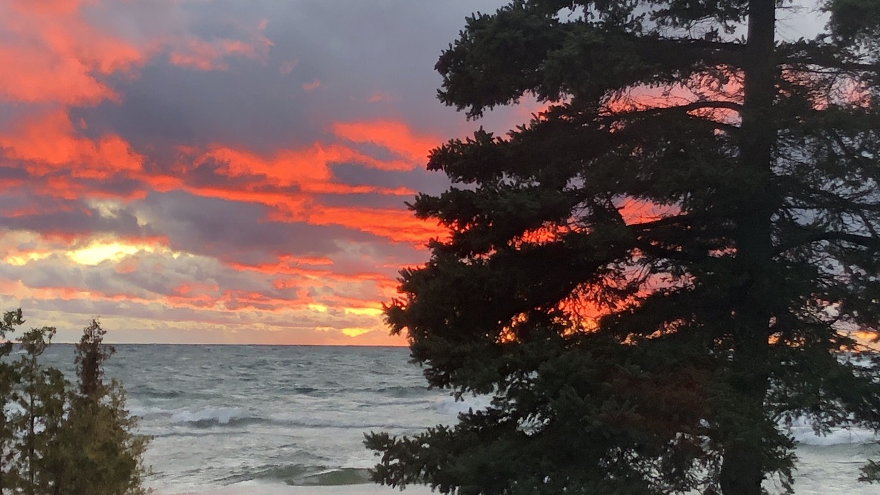 Photo of Others in Northern Bruce Peninsula