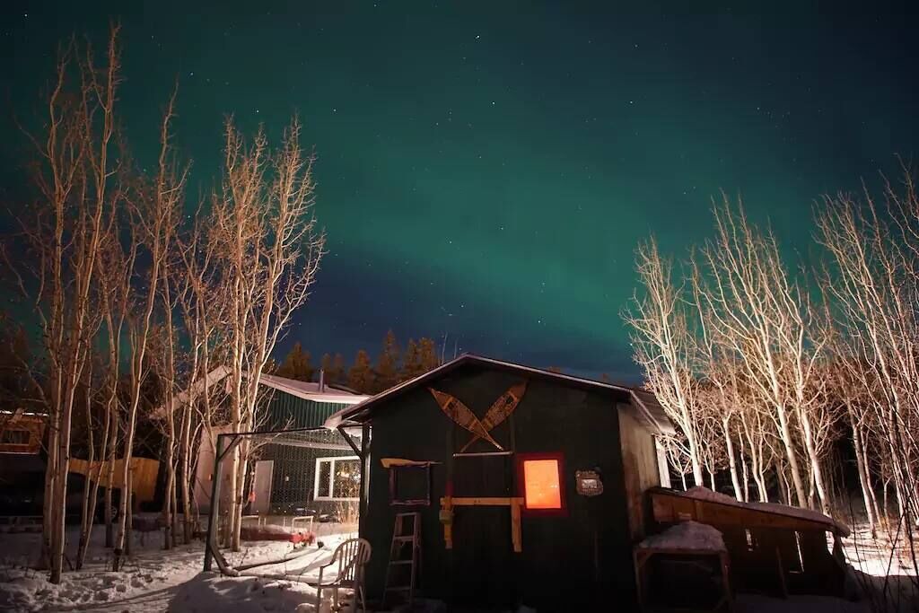 Photo of Others in Whitehorse