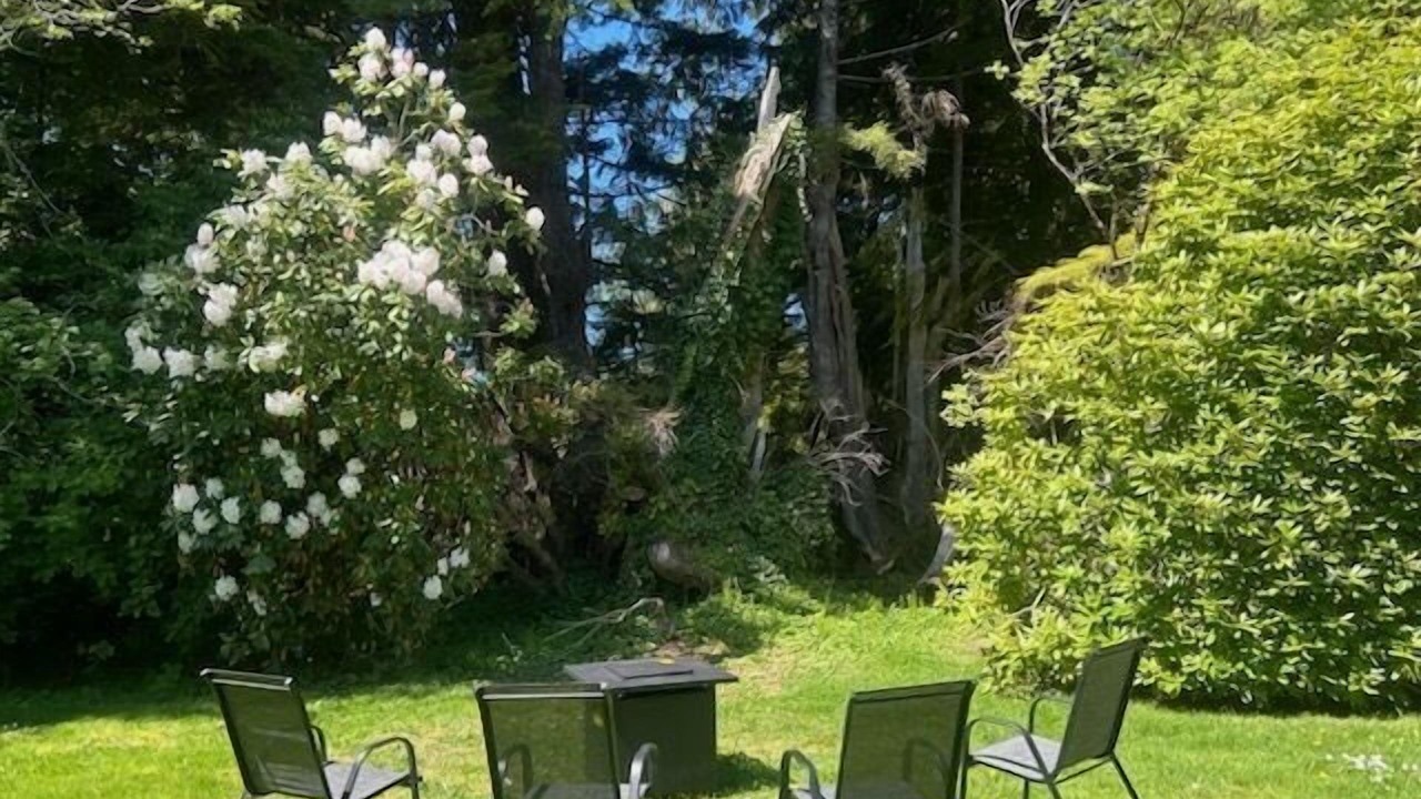 Photo of Outdoor in Tofino