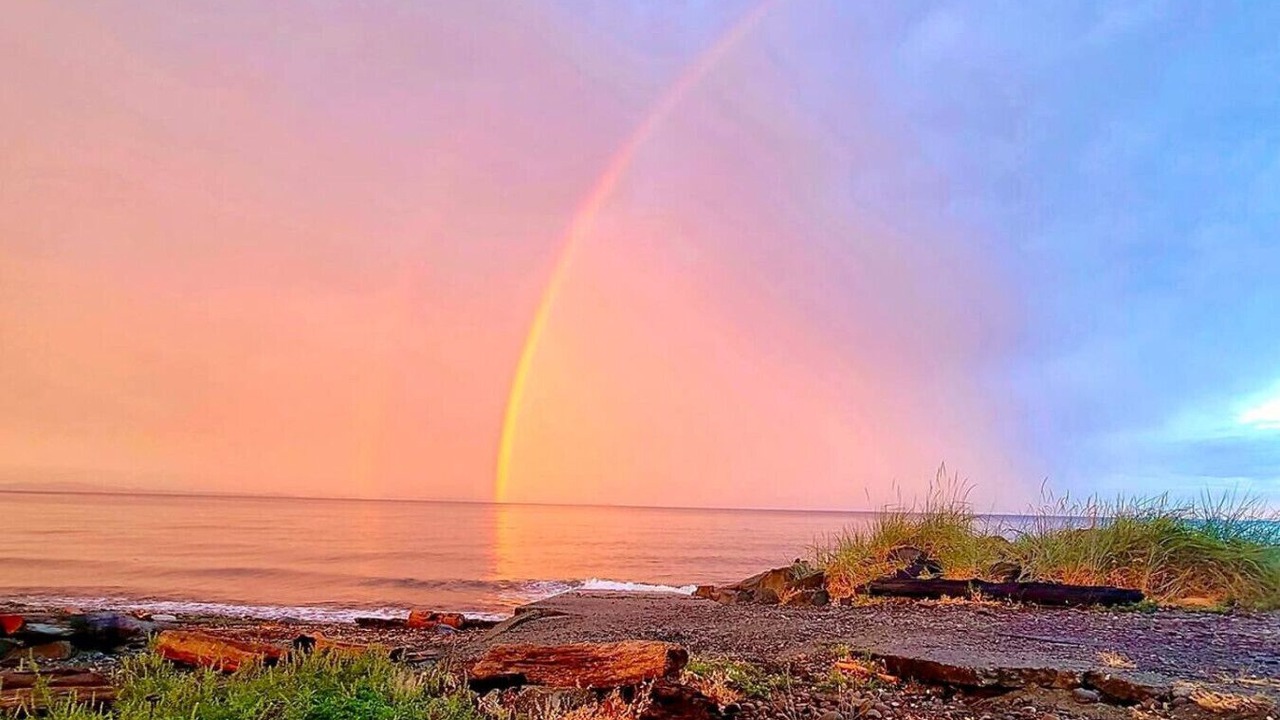 Photo of Others in Campbell River