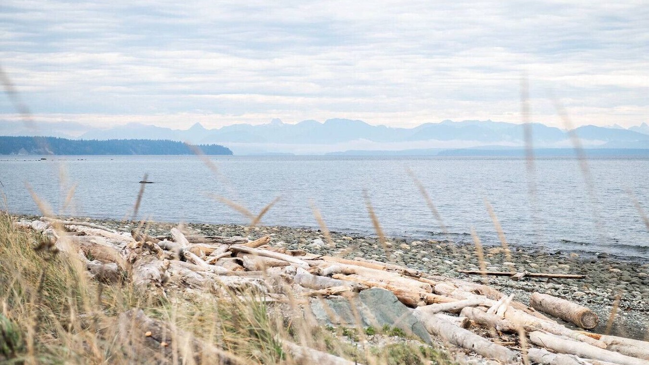 Photo of Others in Campbell River