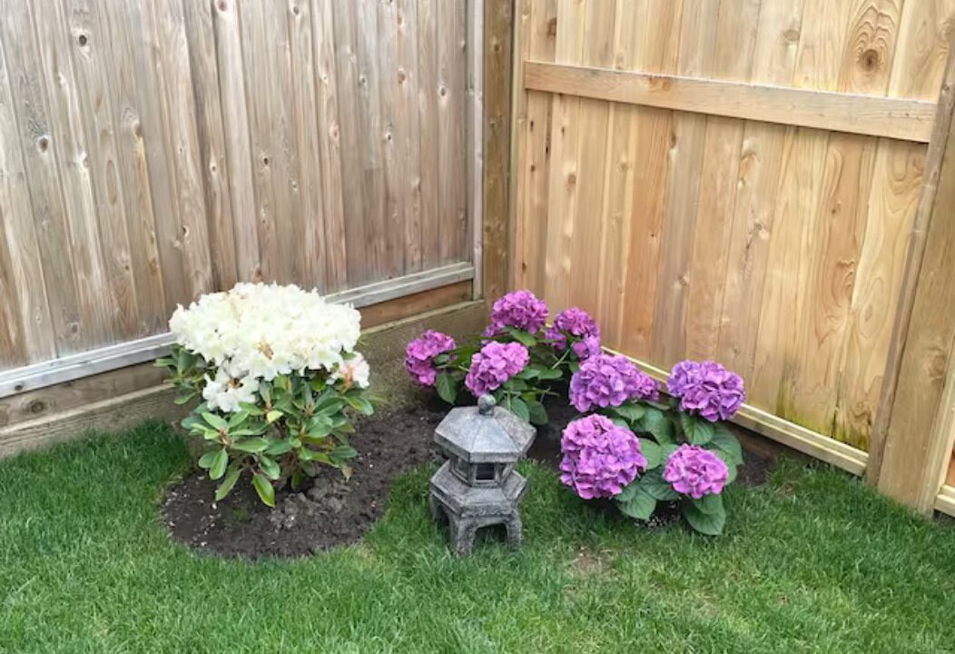 Photo of Outdoor in Surrey