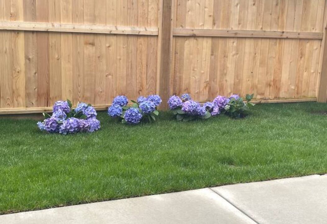 Photo of Outdoor in Surrey