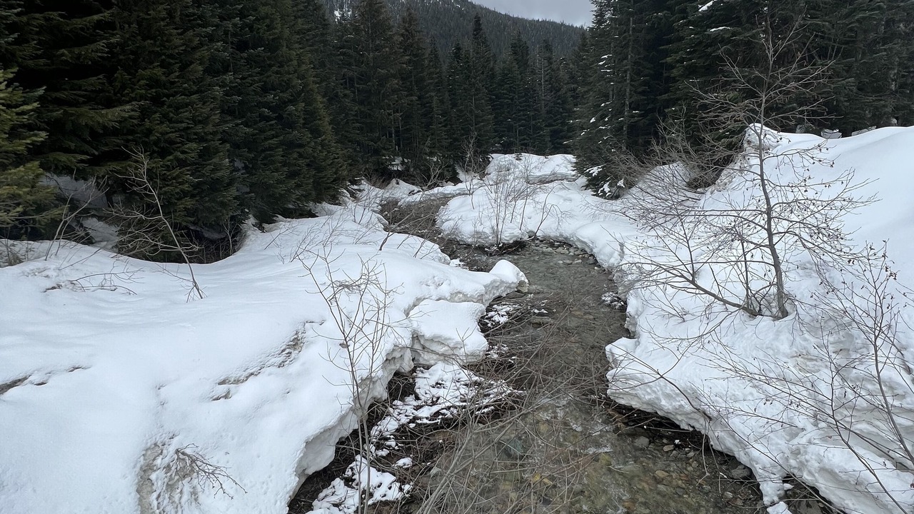 Photo of Others in Hemlock Valley