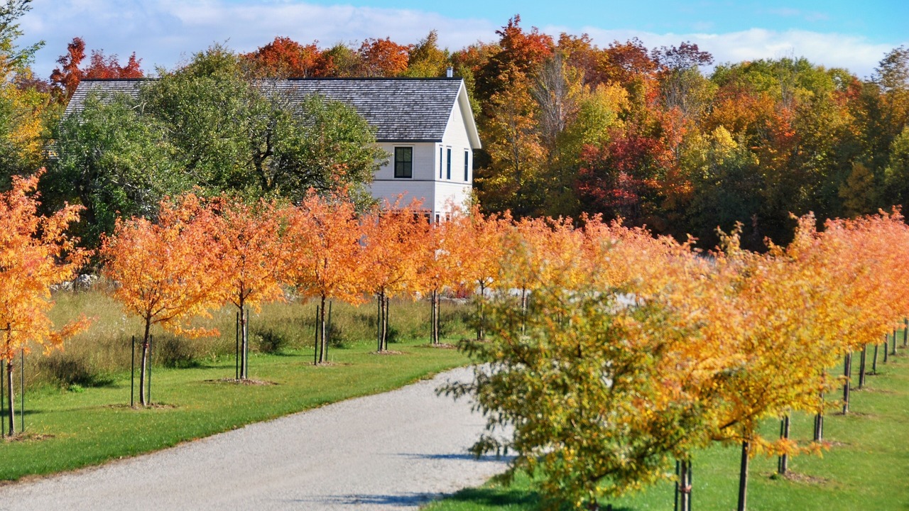 Photo of Others in Glen Huron