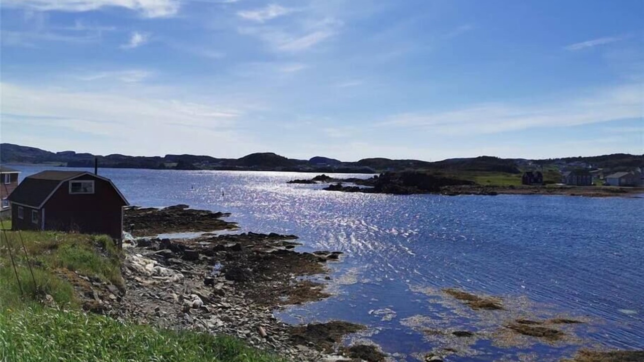 Photo of Others in Twillingate