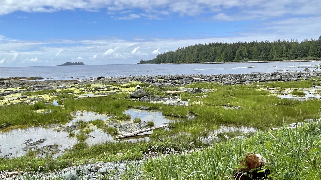 Photo of Bedroom in Ucluelet