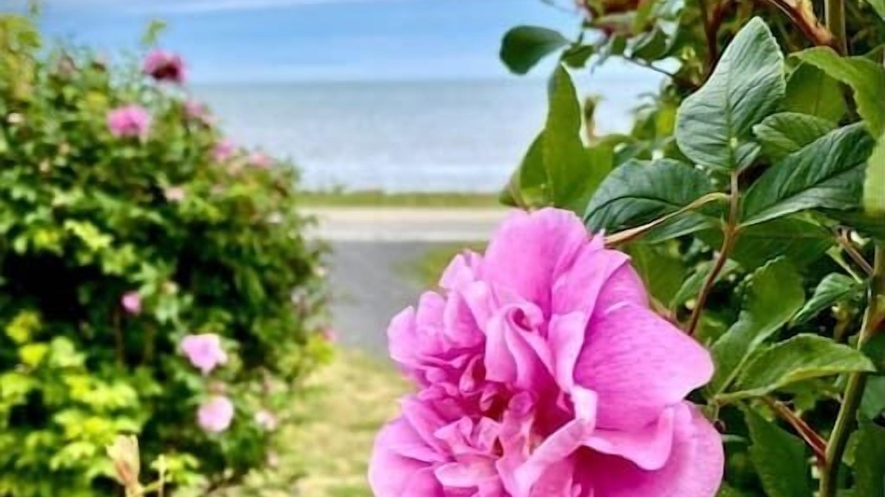 Photo of Outdoor in Isle aux Coudres