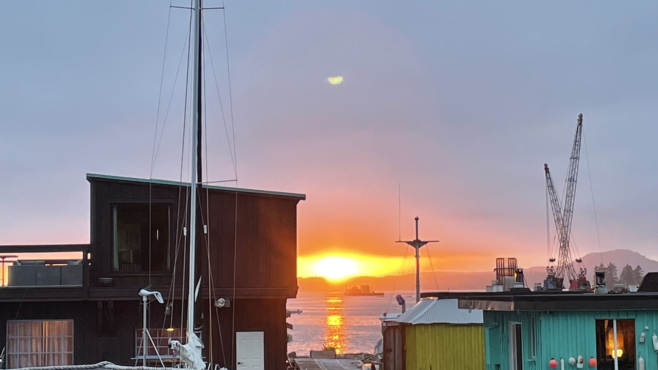 Photo of Outdoor in Tofino