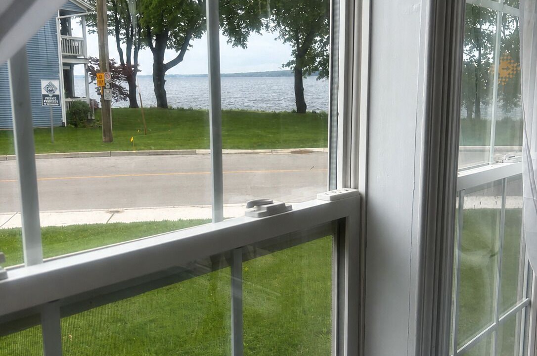 Photo of Others in Port Stanley