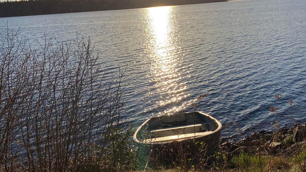 Photo of Outdoor in East Machias