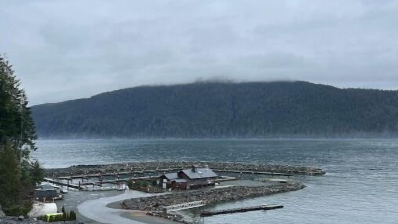 Photo of Others in Port Renfrew