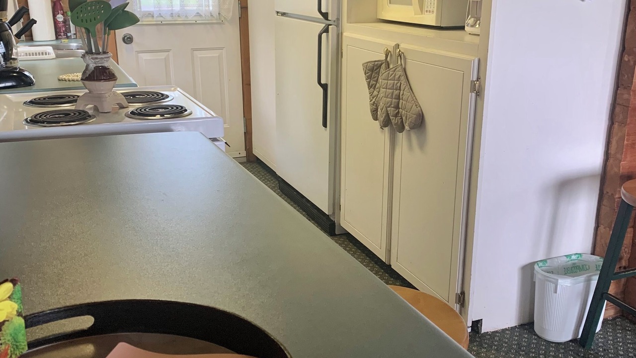 Photo of Kitchen in Bayside