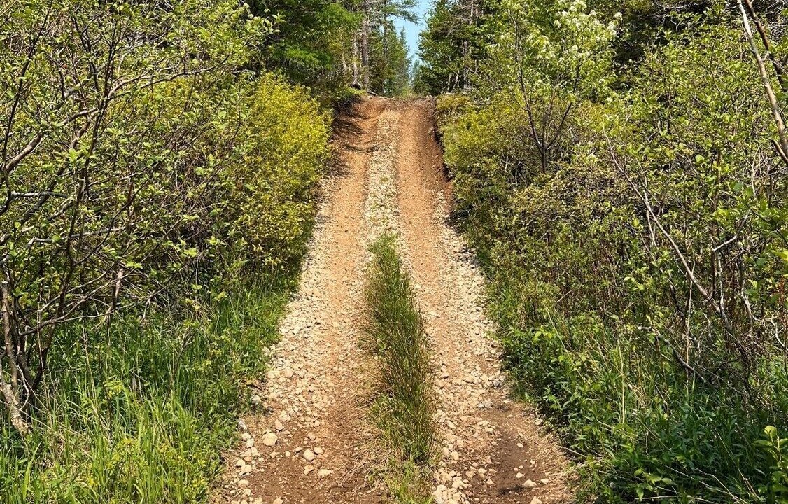 Photo of Others in Margaree
