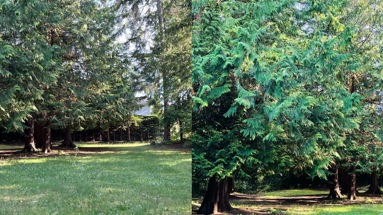 Photo of Outdoor in Regional District of Nanaimo