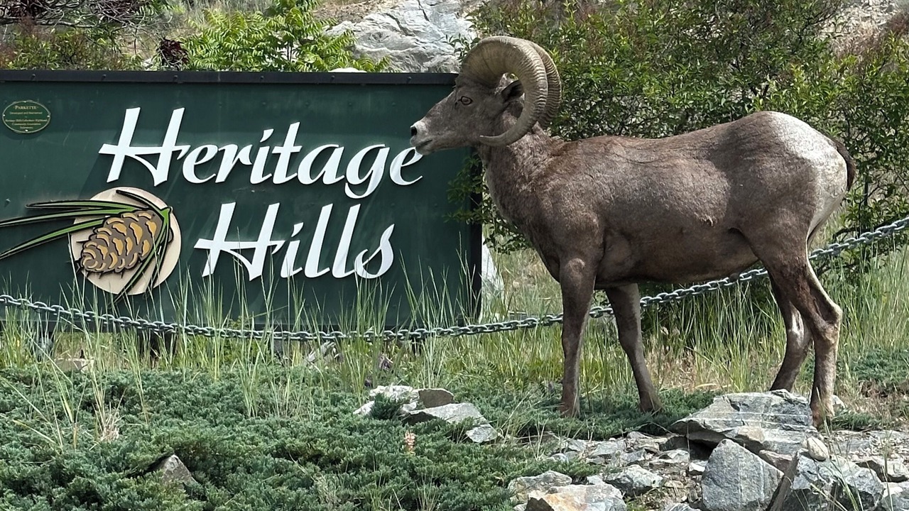 Photo of Others in Okanagan-Similkameen