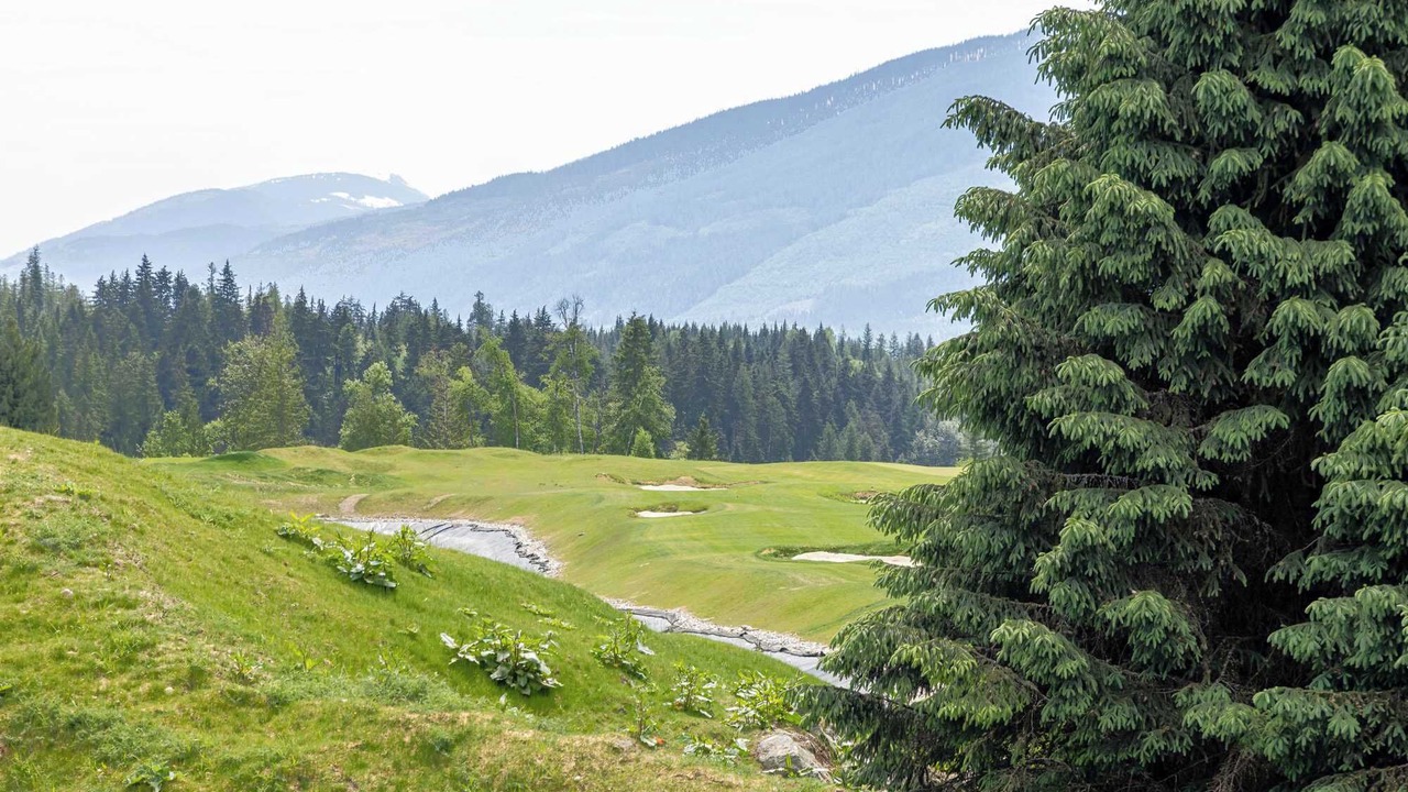Photo of Others in Revelstoke