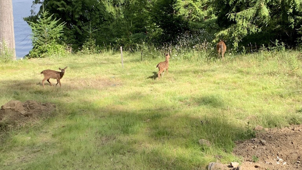 Photo of Outdoor in Salt Spring Island