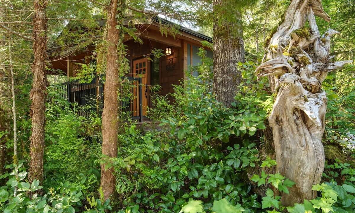 Photo of Outdoor in Port Renfrew