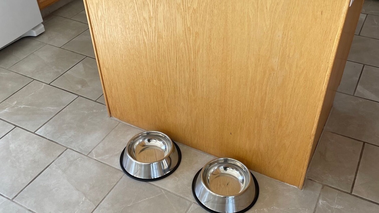 Photo of Kitchen in Central Okanagan