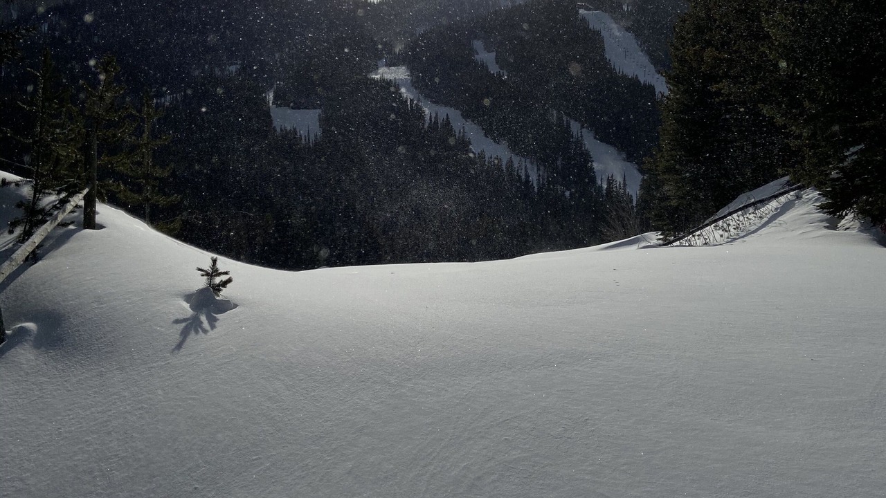 Photo of Others in Apex Mountain