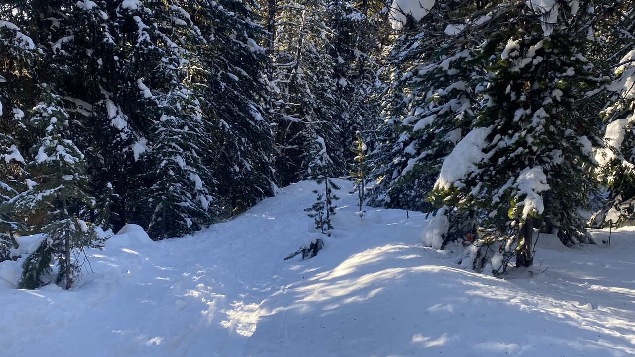 Photo of Outdoor in Apex Mountain