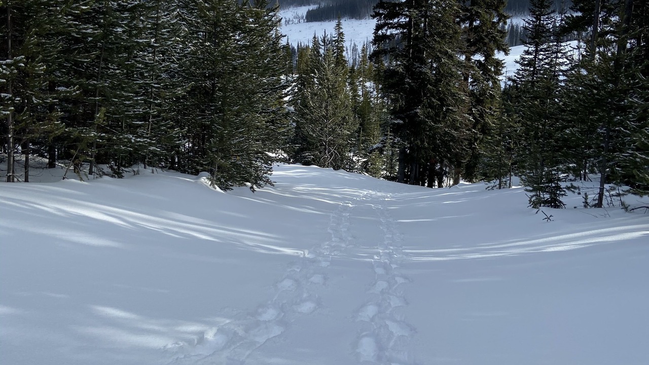 Photo of Others in Apex Mountain